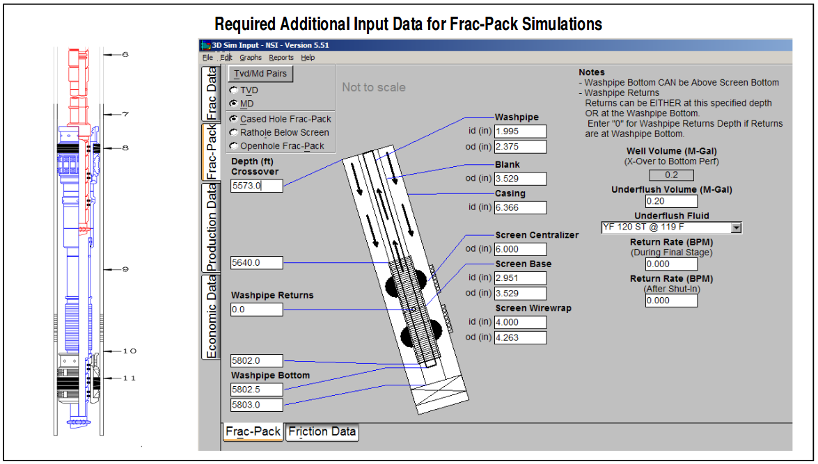 Required Additional Input Data For Frac Pack Simulations