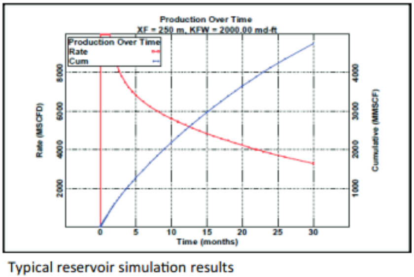 Typical Reservoir Simulation Results