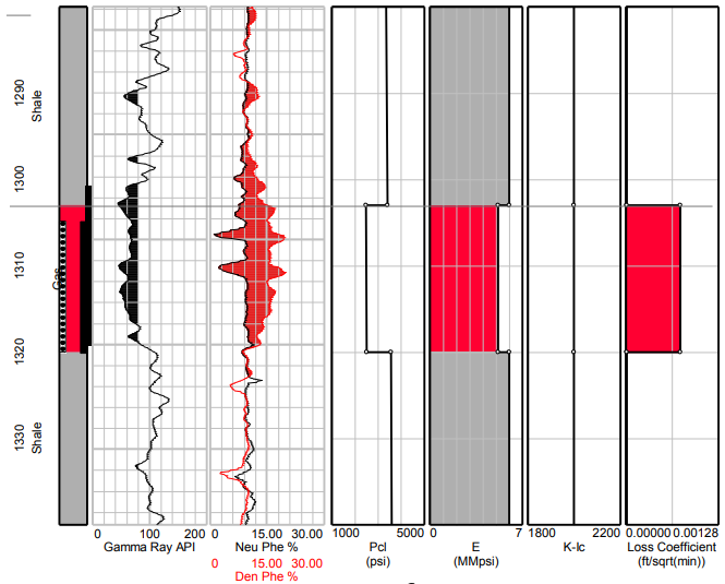 GammaRay API NeuPhe Loss Coefficient