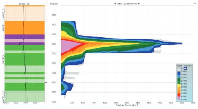 StimPlan&trade; V8 Cloud Based Simultaneous Simulation Capability