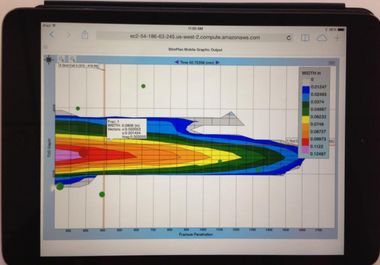 Stimplan Mobile Graphic Output